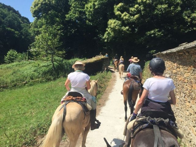 A caballo por frondosos paisajes
